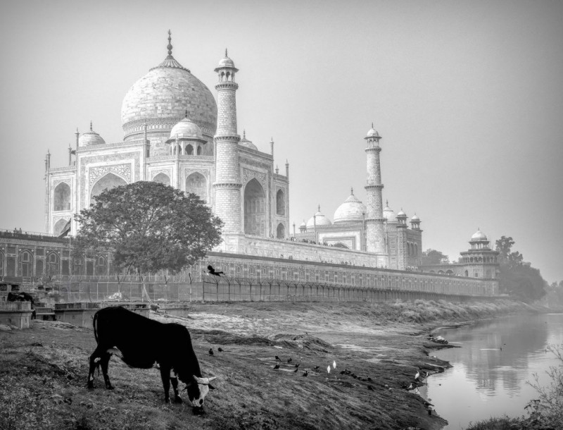 Photo by Kim Signoret Paar (Soho Photo Exhibition 2024)